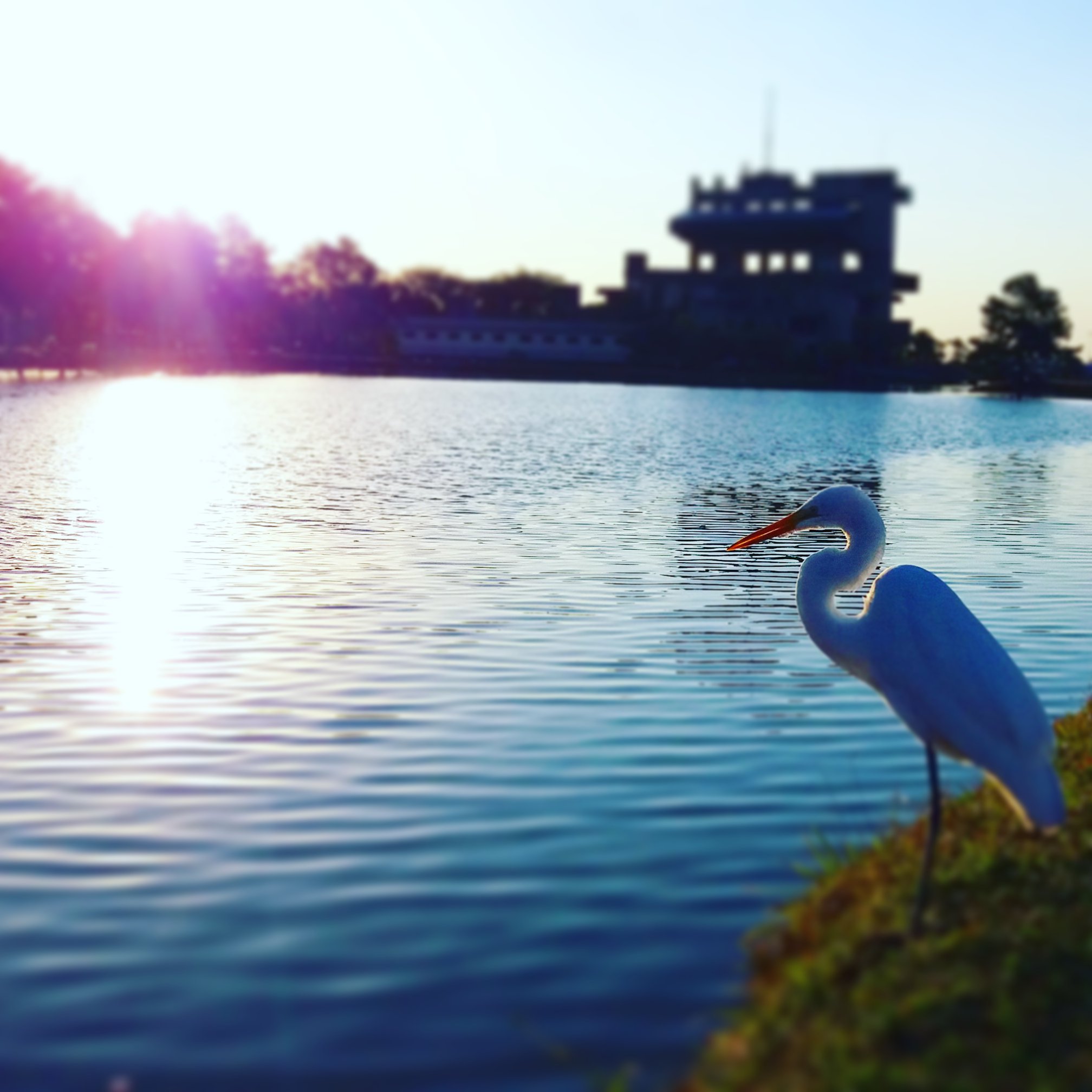 Descubra TODAS as espécies que você pode ver em cada parque!